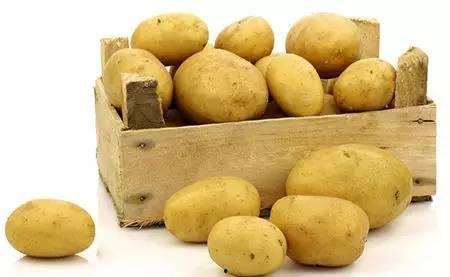 网红吃瓜土豆,揭秘网络红人的美食生活